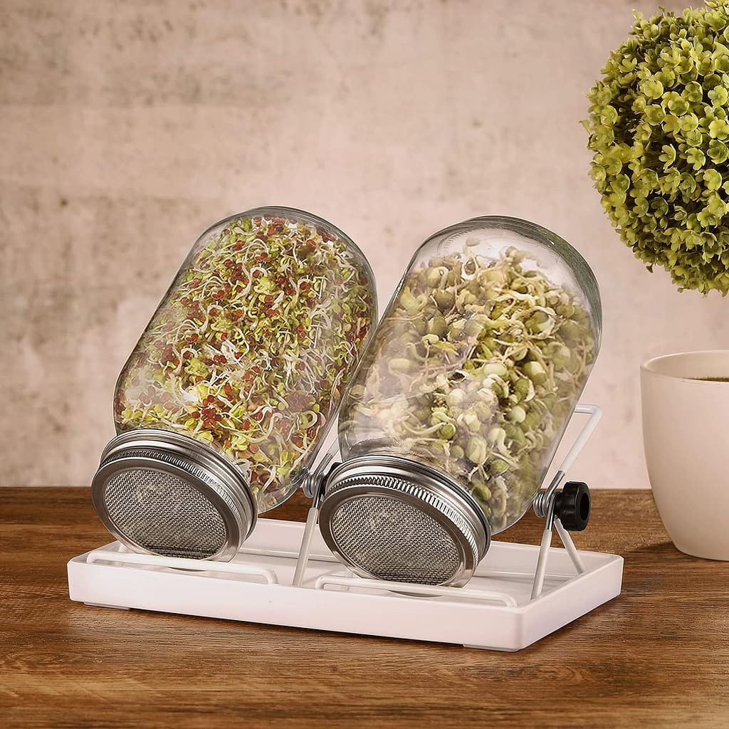 Sprossen und Microgreens Anzuchtbehälter