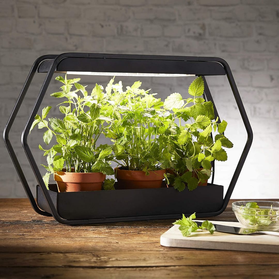 Smart Gardening Indoor Pflanzsystem