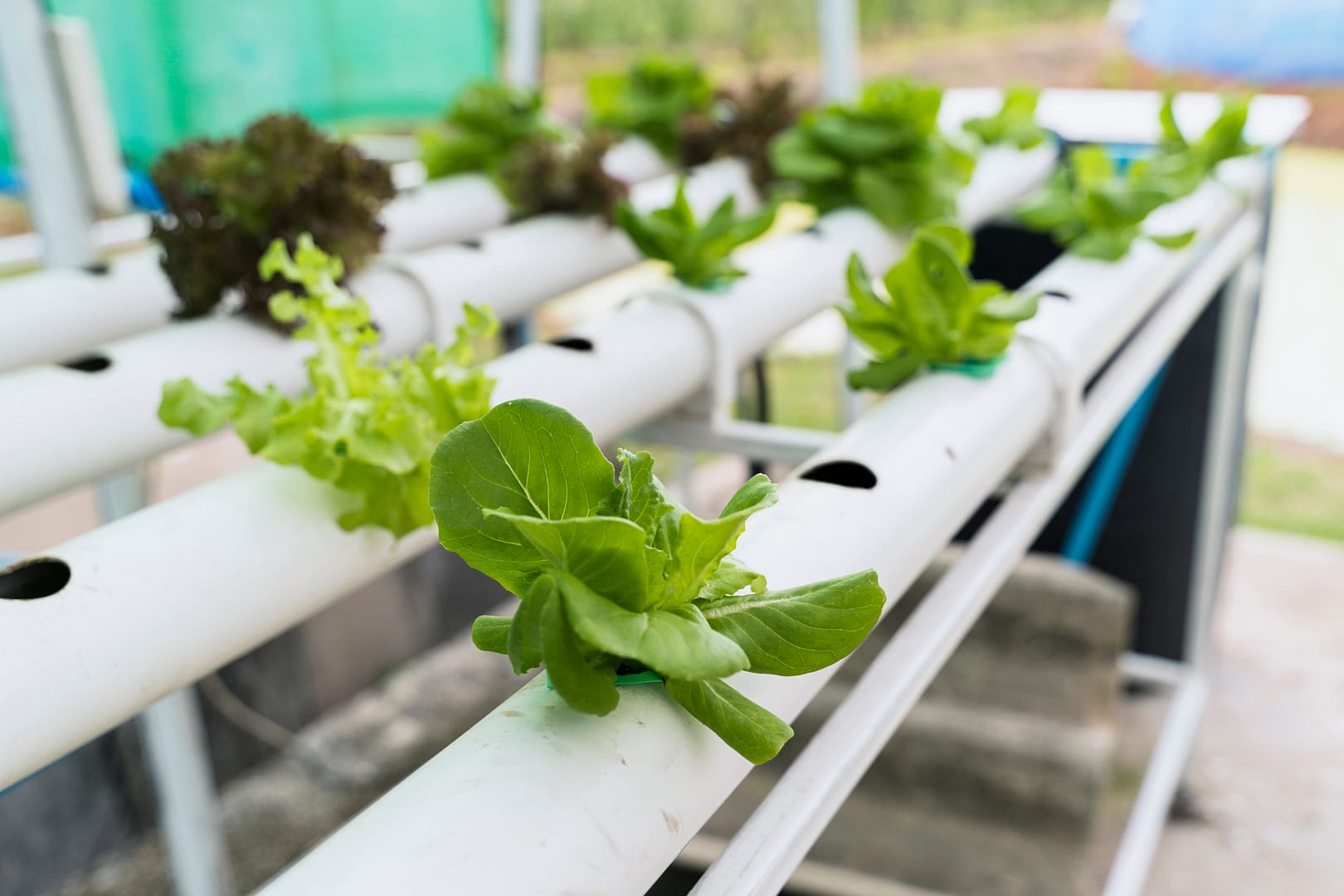 Indoor-Farm Pflanzbox klein 1