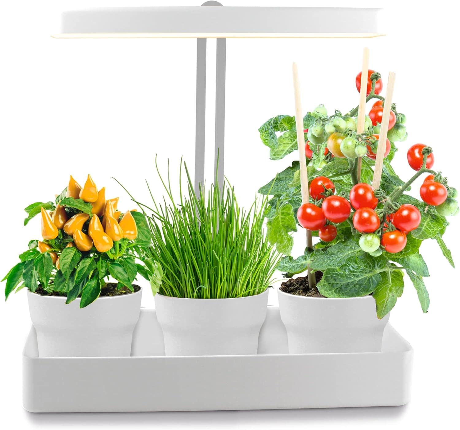 Pflanzkasten Hydro Grow Farm