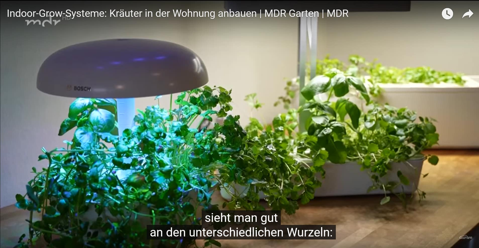 Video-Vorschaubild Indoor-Grow-Systeme